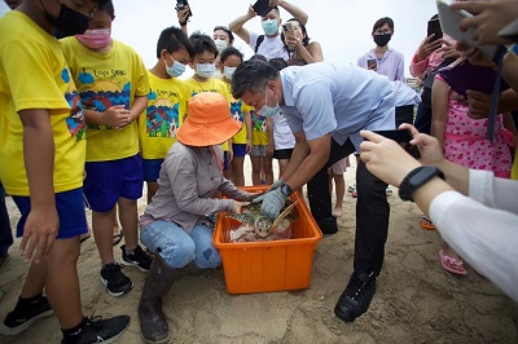 世界海龜日 海保救援網成功野放海龜回家