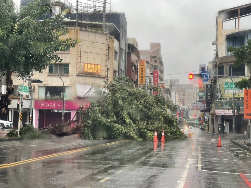 颱風造成傷害 王家貞要求市府展現最高效率救災