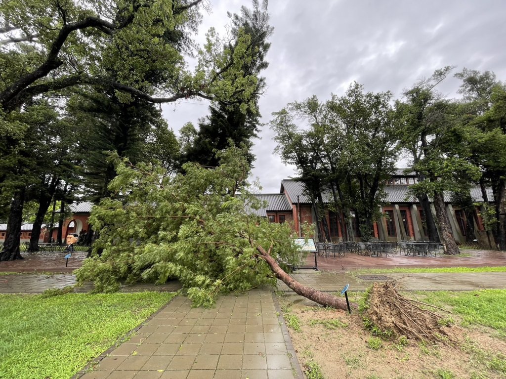 杜蘇芮肆虐 國定古蹟五妃廟建物受損