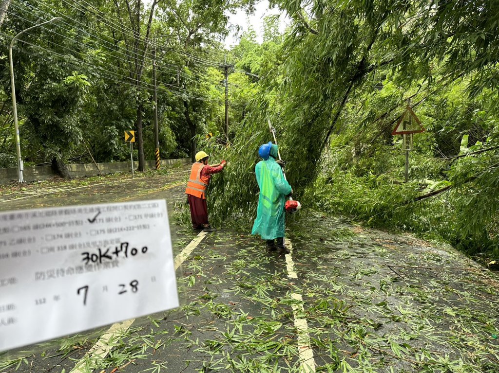 颱風倒伏行道樹 工務局明日中午前將全數處理完成