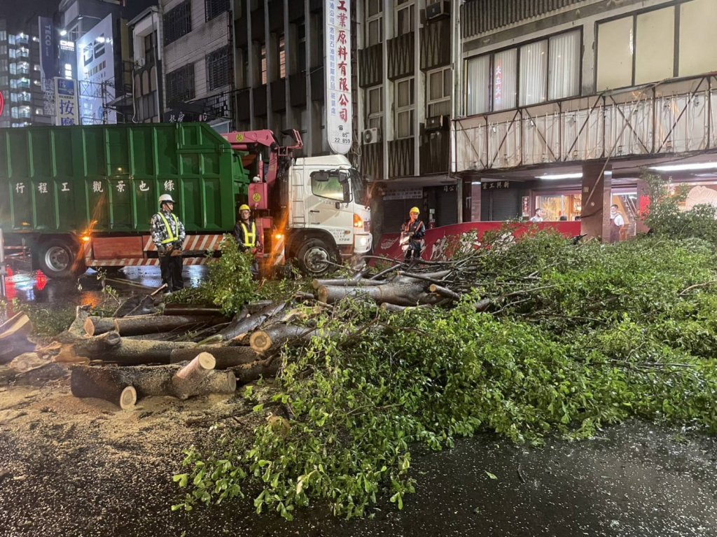 海葵颱風帶來強風造成行道樹倒塌 工務局全力排除交通障礙維護安全