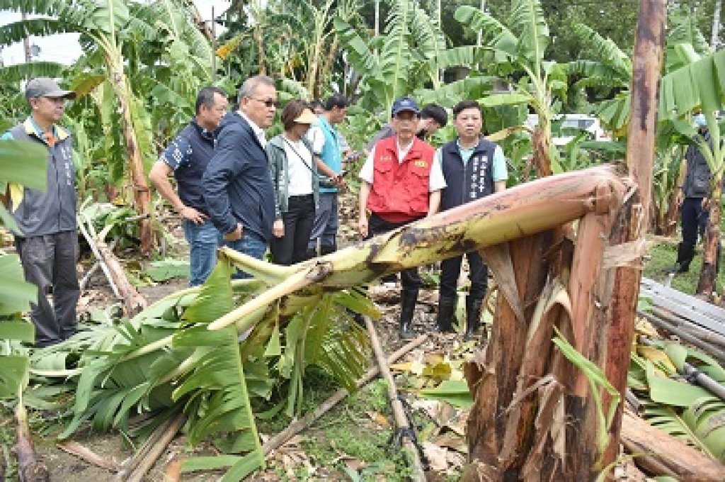 視察海葵颱風農作受災 林欽榮指示從速從寬從優查報農損 協助農民及早復耕