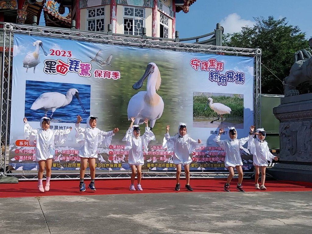 2023黑面琵鷺保育季開幕 邀請親子同遊臺南賞黑琵