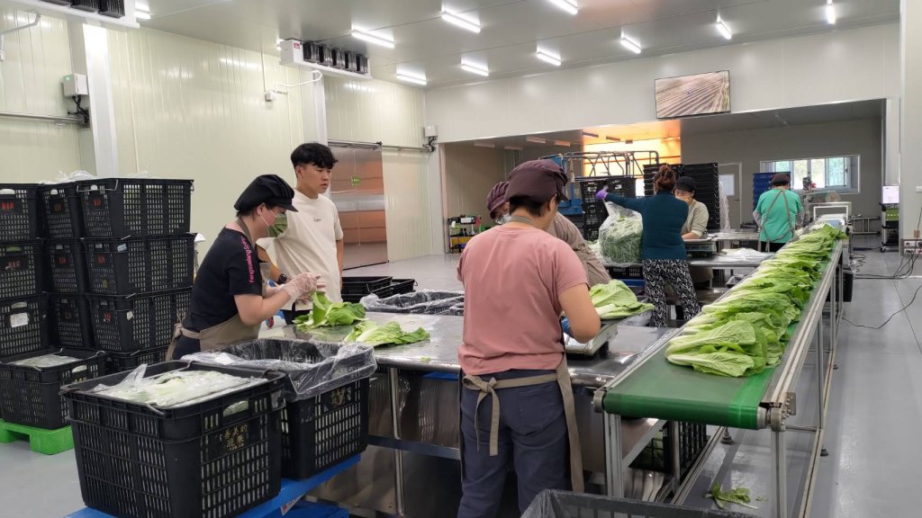 太康有機農業專區設冷鏈物流體系 全台專屬有機農產品