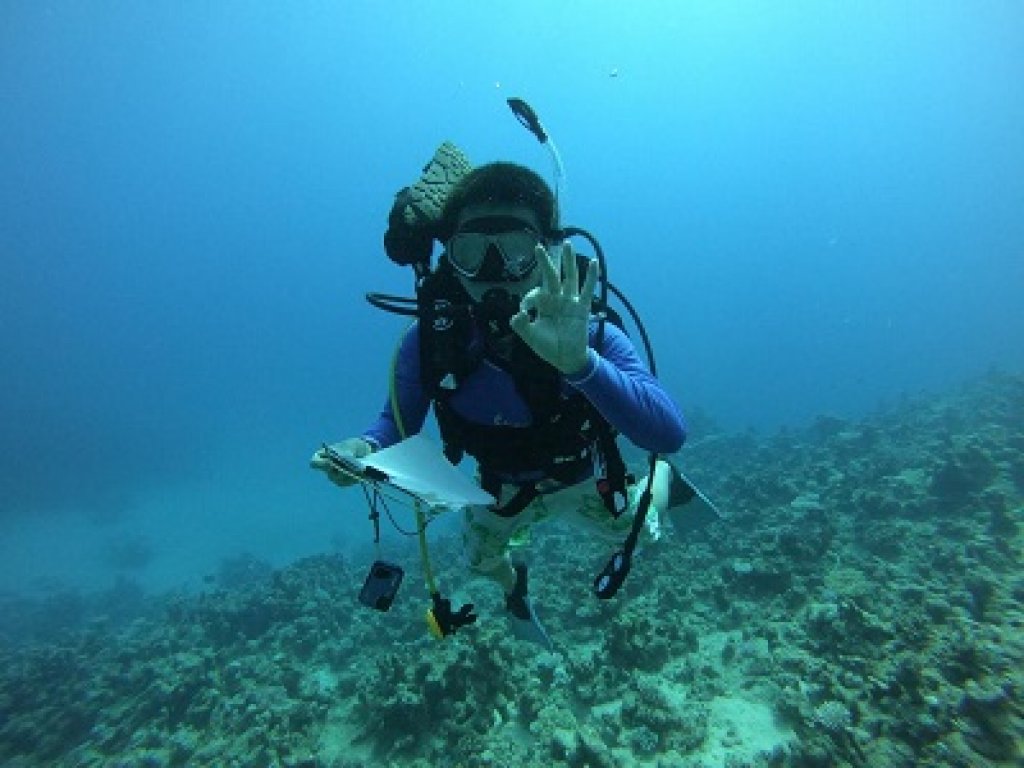 紅海珊瑚不減反增　中山大學跨國研究供墾丁借鏡 「保護珊瑚，連魚也要一起保護」
