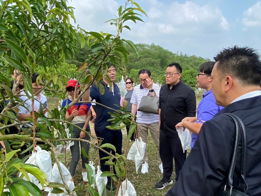 7國14家買主親到臺南洽談果品採購及農業交流