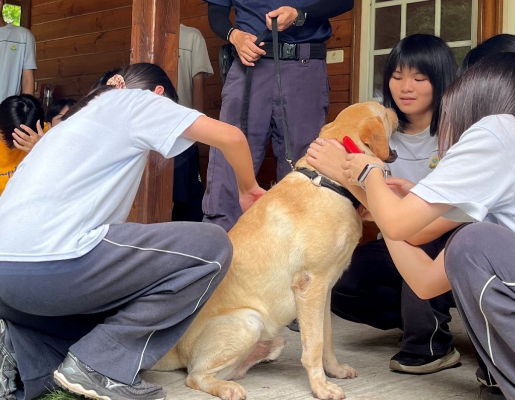參與緝毒犬寄養家庭 福智成功陪伴幼犬承擔搜救等任務
