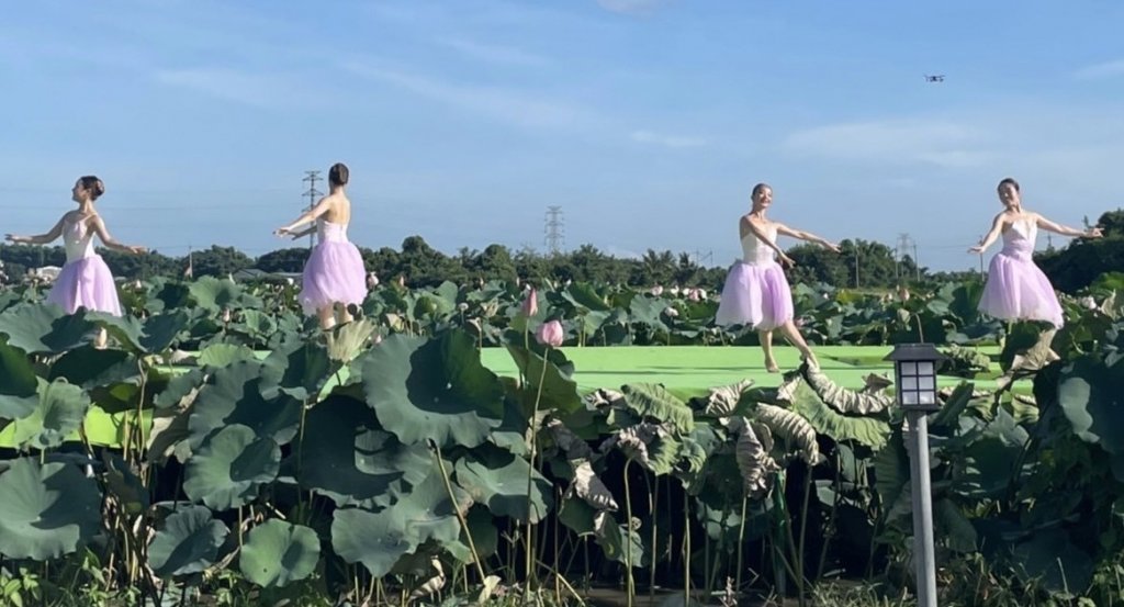 芭蕾舞蓮花 黃偉哲邀民眾親近臺南在地農漁地景藝術文化