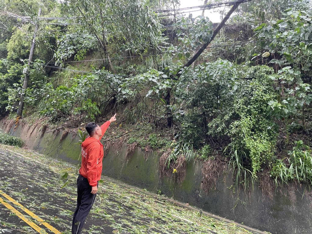 強烈颱風凱米來襲 議員陳皇宇龍崎勘災發現造成停電的原因
