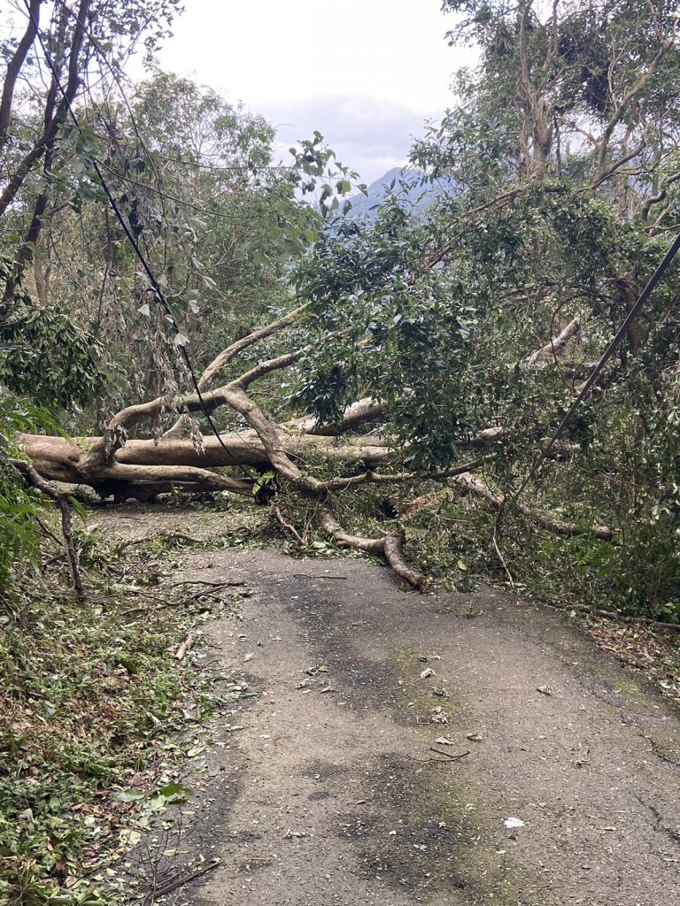 山區清零作業艱困　台電北南區處力促盡速復電