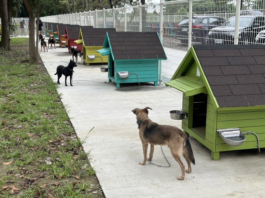 全國首創遊蕩犬暫置區「毛孩森活村」 市長黃偉哲盼成為毛孩與民眾遊憩示範點