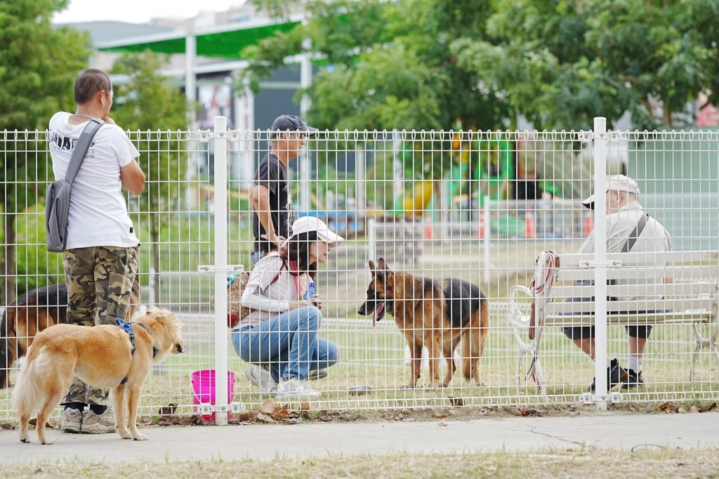 臺南設置寵物友善專區 實現人犬分流 打造動物友善城市