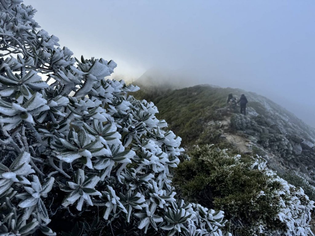 首波冷氣團報到 雪霸山區覆白霜 山友登山要小心