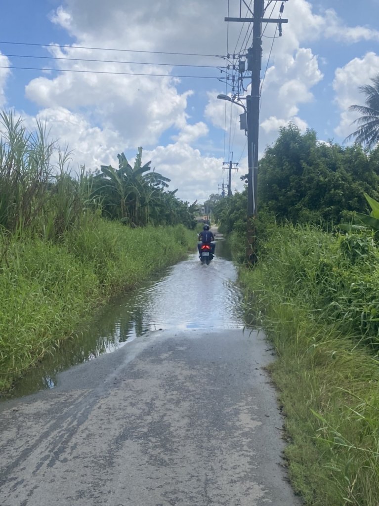 南區永成路南豐段農路易淹水不退應積極改善