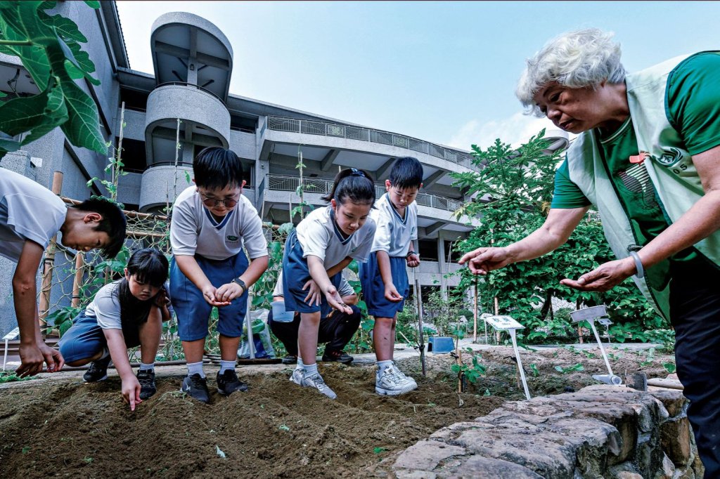 南市7校獲113年臺美生態學校聯盟國際認證 漁光分校與慈濟小學更獲綠旗認證肯定