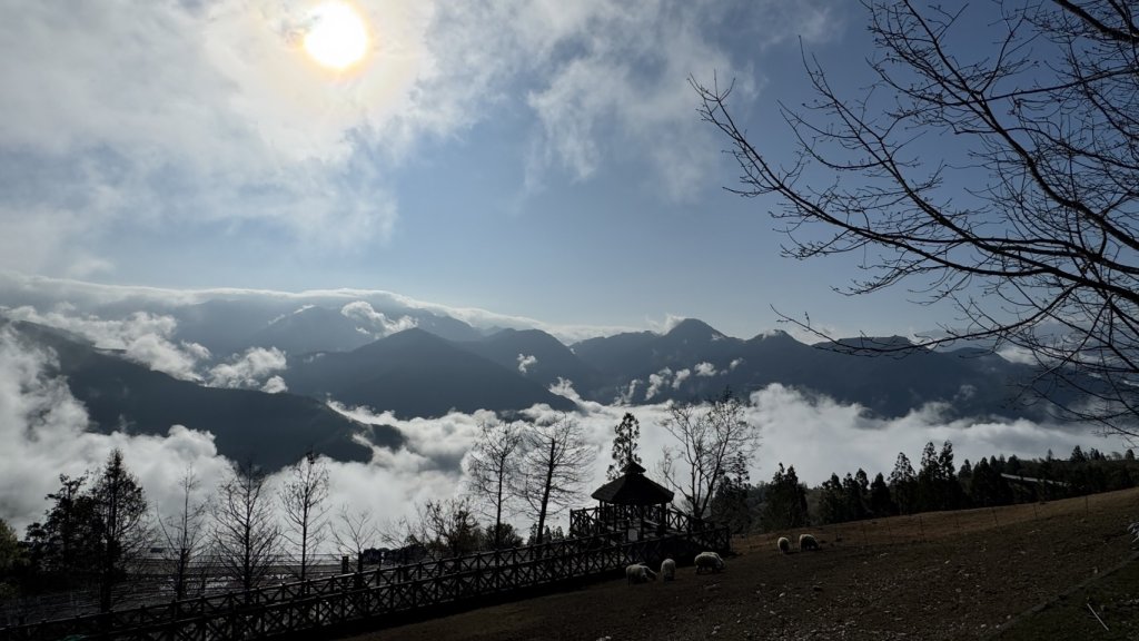 雲海櫻花綿羊遠眺白雪 清境農場大景連連