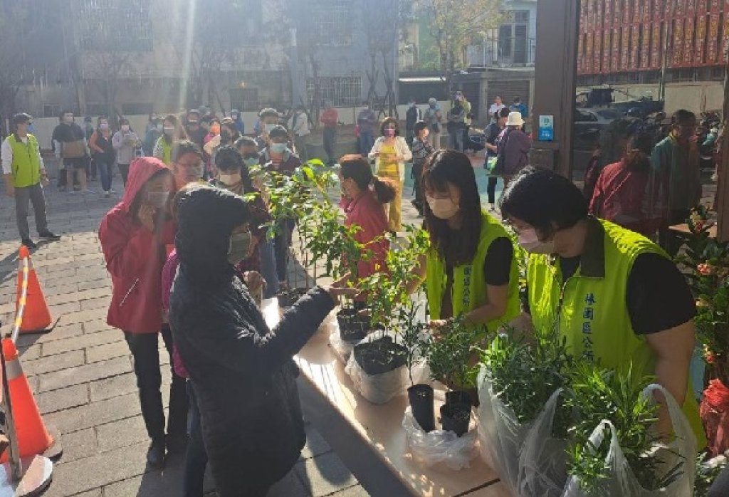 在植樹節種下綠色希望- 22800株樹苗免費送市民