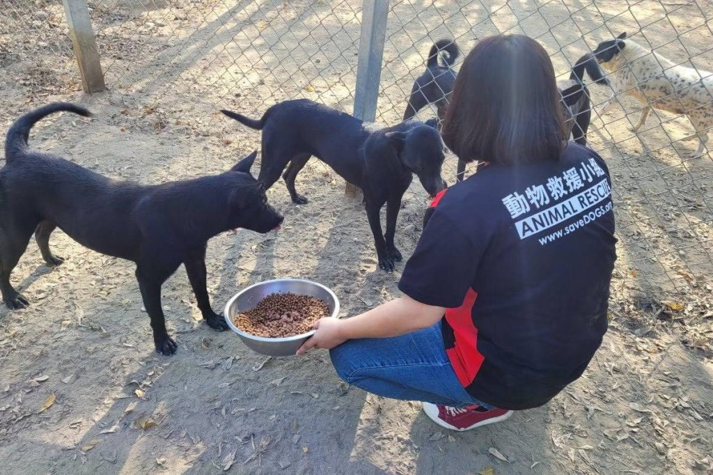 寵物公園攜手統一企業寵物食品為臺灣毛孩健康把關 聲援319助浪浪不挨餓