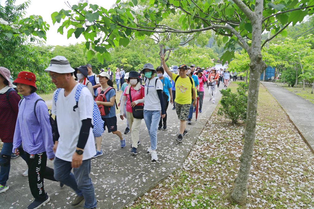 苗栗《桐花祭 》千人健走 桐享春遊好時光~