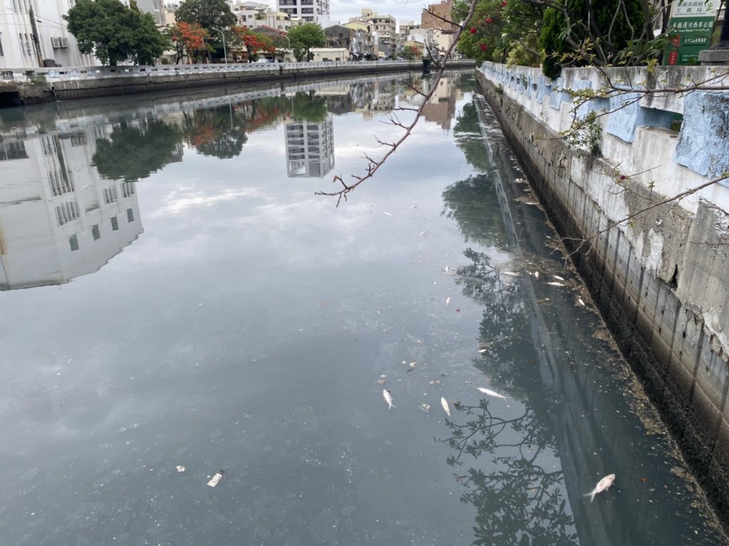 市議員李啟維盼水利局解決運河污染 提高污水接管