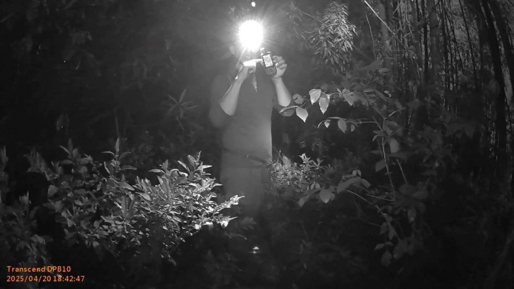 獨攀小百岳濃霧迷航 警消克服天候成功救援