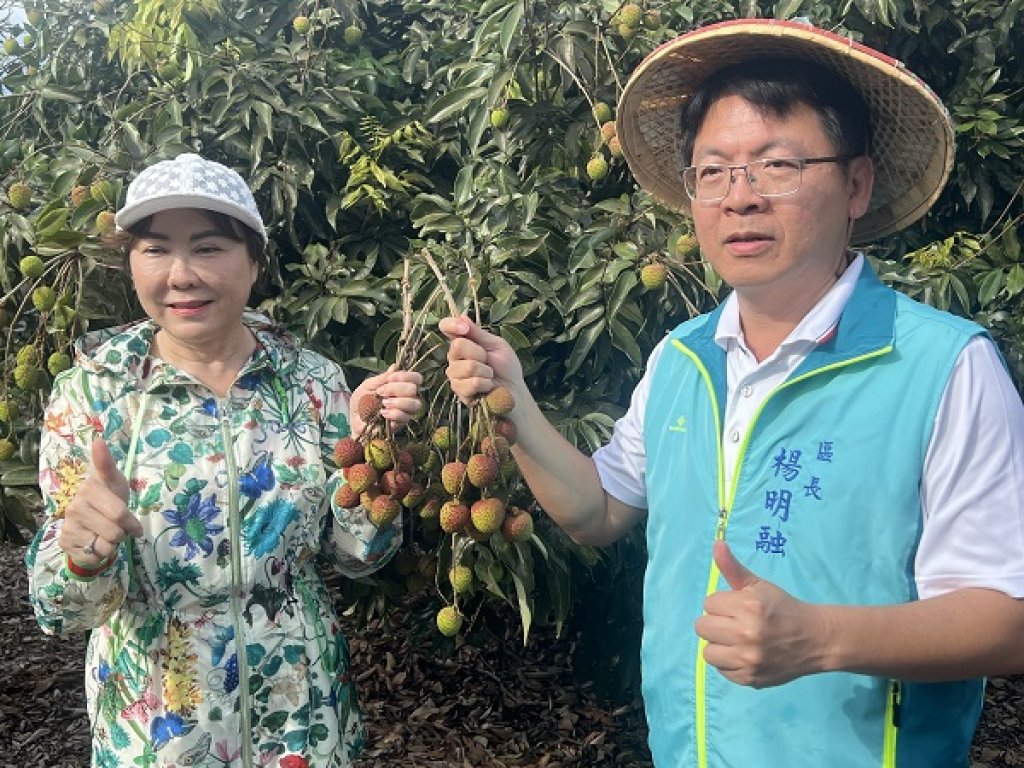 高雄鳳荔季即將開跑 2025五月熱鬧登場 加碼贈送早鳥兌換券