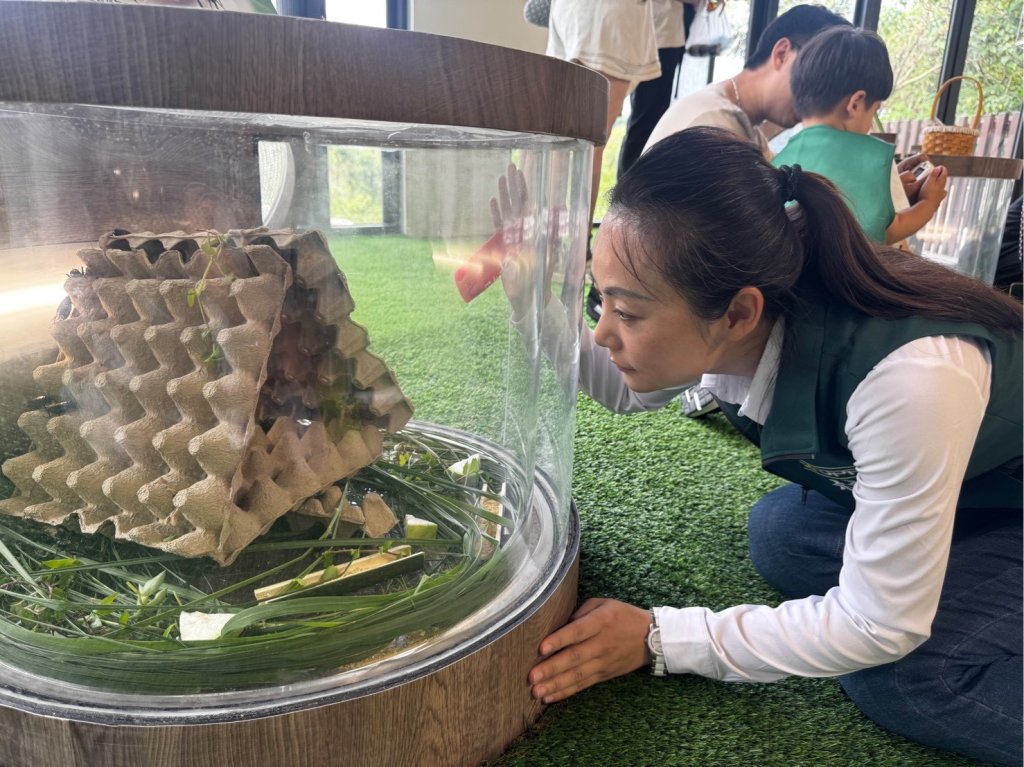 新化虎頭埤環教生態館全新開幕 議員余柷青邀請親子來探索蟋蟀世界