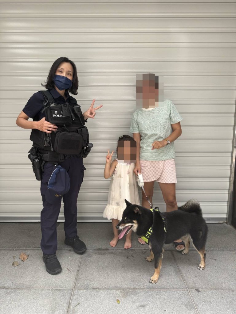 落跑黑柴進超商納涼 桃園警來了牠帶路找主人