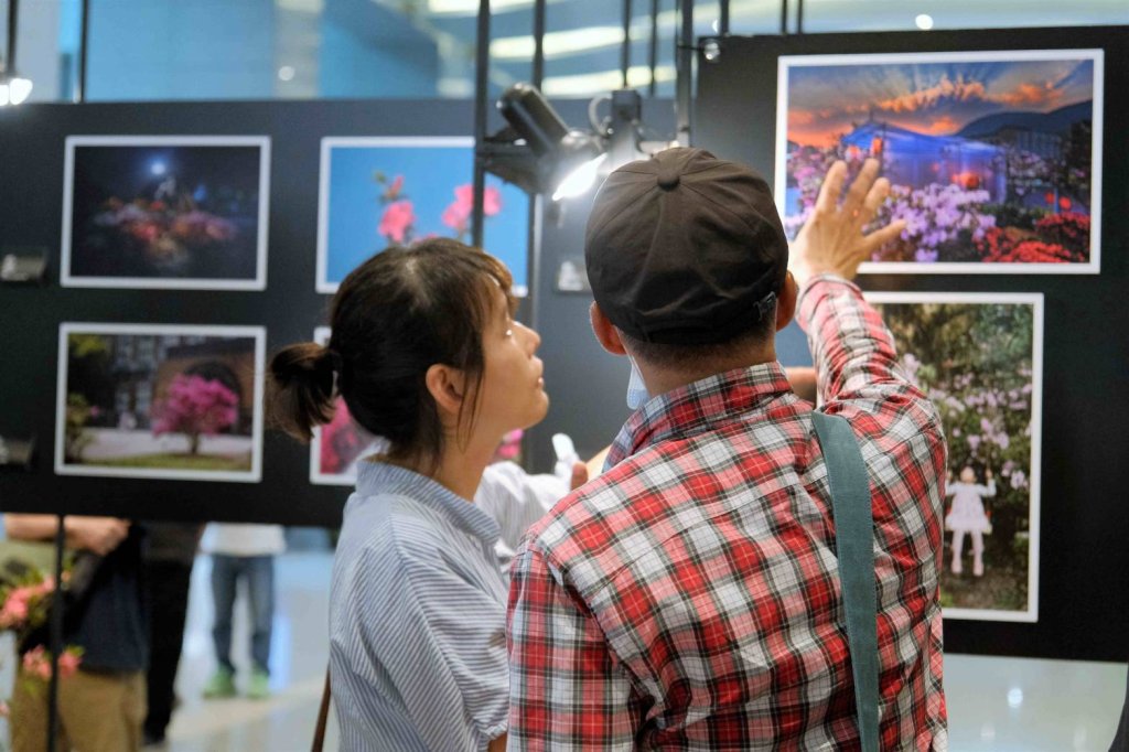 新北市「2025萬金杜鵑攝影展」開展　觀展贈樹苗！