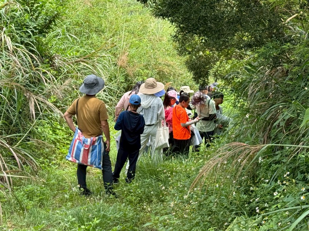 新竹分署攜手林試所 推動在地植物教育與保育行動