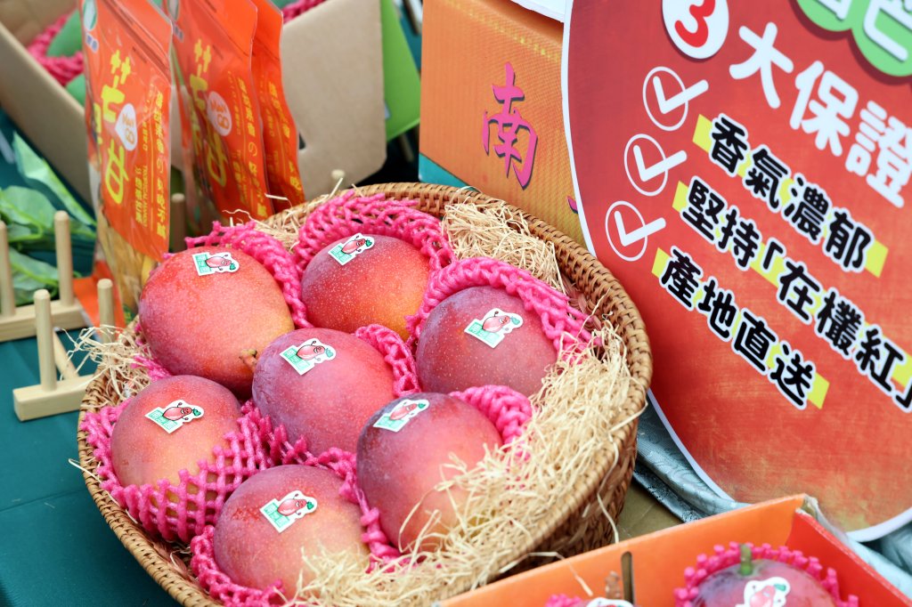 2025台南國際芒果節本週六甜蜜開跑！黃偉哲邀您一起來吃好吃的芒果
