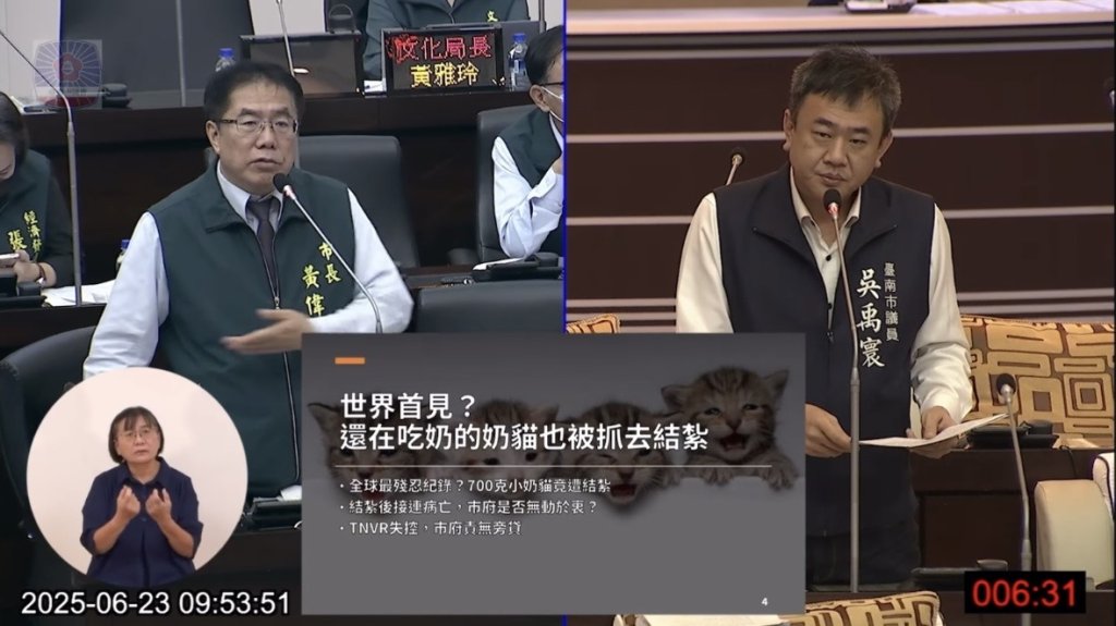 台南市TNVR抓紮喝奶的小奶貓 市議員吳禹寰與民眾抨擊殘暴