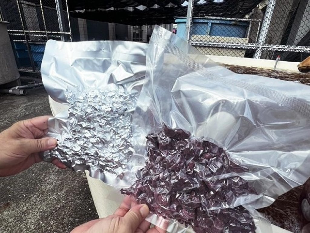 抗暖化大作戰 減少甲烷效率更勝自然碳匯  高科大創新成果登國際期刊