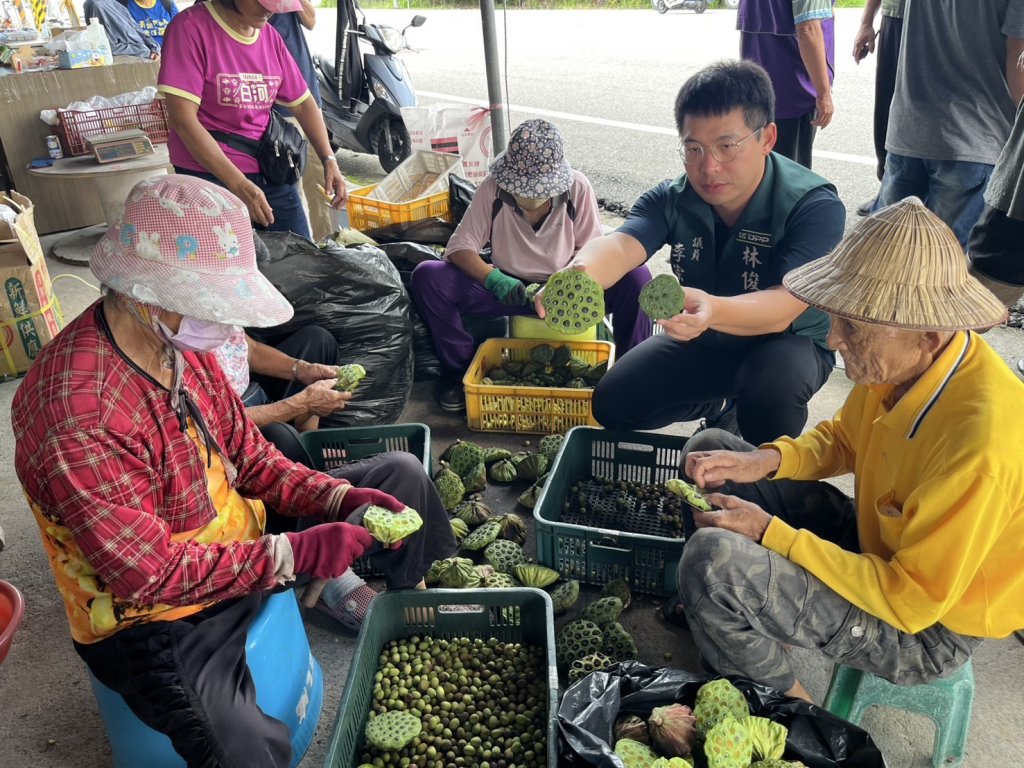 氣候異常與疫病問題 白河蓮子產量驟減重創農民生計