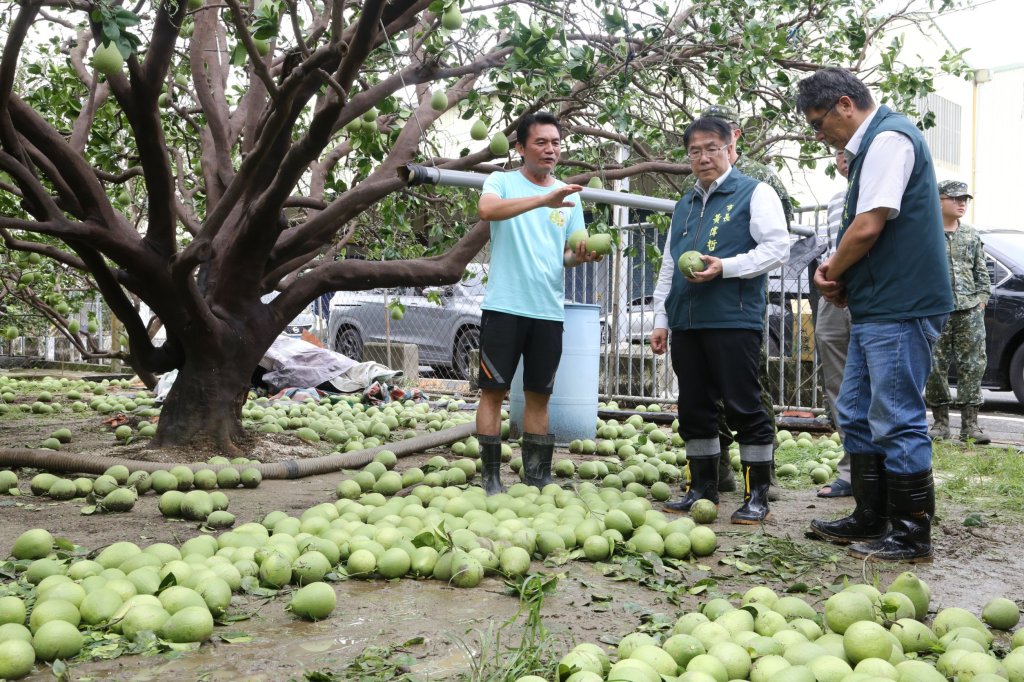 丹娜絲颱風重創文旦產區 黃偉哲指示全力支援清運復原