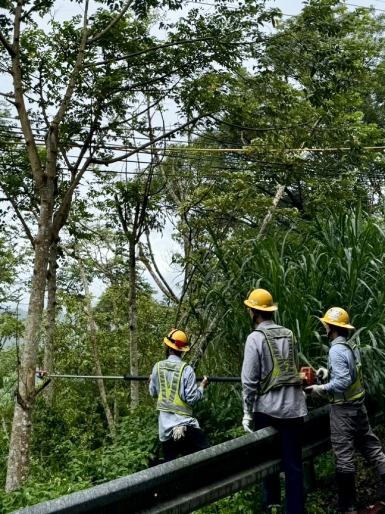 丹娜絲颱風重創新店、石碇供電　台電搶修全數復電