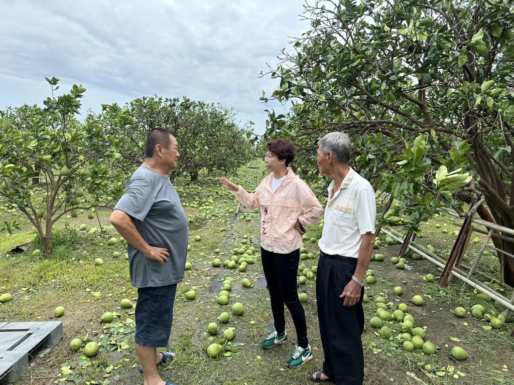丹娜絲颱風重創台南 陳亭妃呼籲中央比照蘇迪勒農漁災復貸款第一年免息