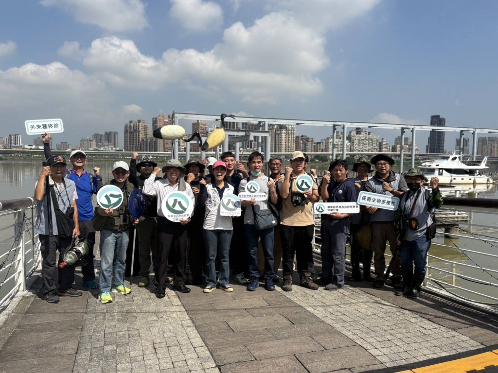 持續推動埃及聖䴉移除 政府守護原生生態再進一哩路
