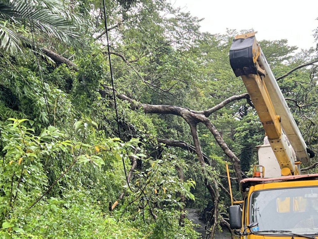 楊柳颱風強風造成新竹地區多起停電事故　台電新竹區處緊急搶修供電復電率100%
