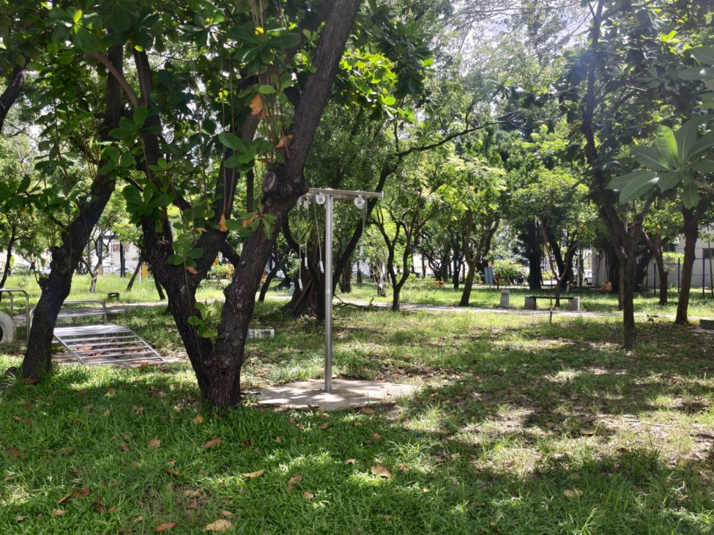風災後 南市工務局將行道樹、公園傾倒樹木清理完成 恢復市容