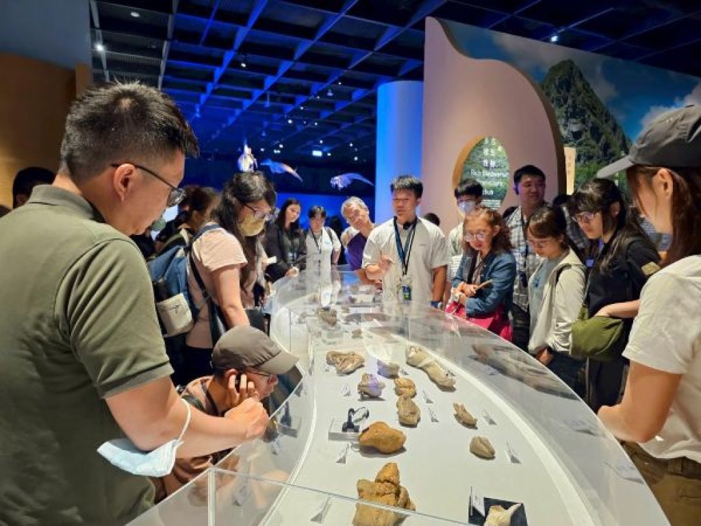 海保署與自然科博館攜手 鯨聲共鳴沙龍登場 公民科學共築鯨豚保育新力量