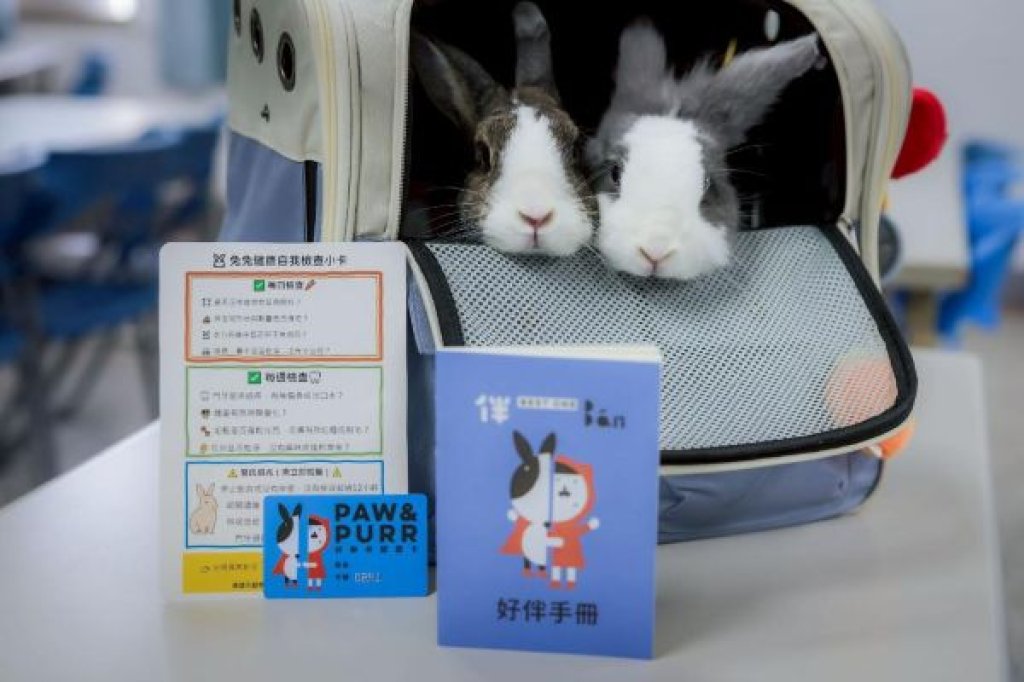  高雄市「好伴兔兔講座」溫馨登場 近百位學員與10隻兔子齊聚共學健康照護