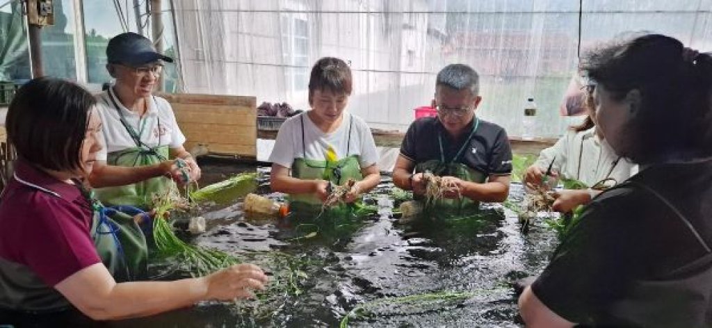「雉+野蓮」高雄首項生態標章農產品進軍全台通路 吃野蓮護生態 跨域共創永續農業里程碑