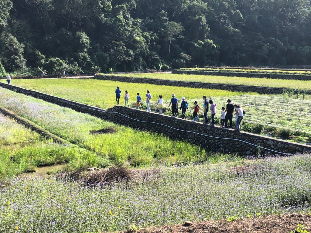  秋風起 走入稻浪中的三義｜體驗一日里山 友善農作 即日起開放報名~