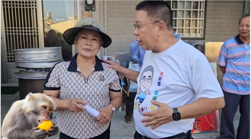 滿山滿谷野猴肆虐 農作物遭殃 市議員蔡育輝幫農民發聲！