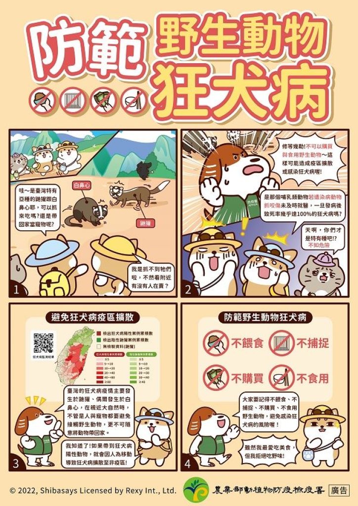 三義鄉再檢出鼬獾狂犬病陽性案例    呼籲民眾遵守「二不一要」防疫指導