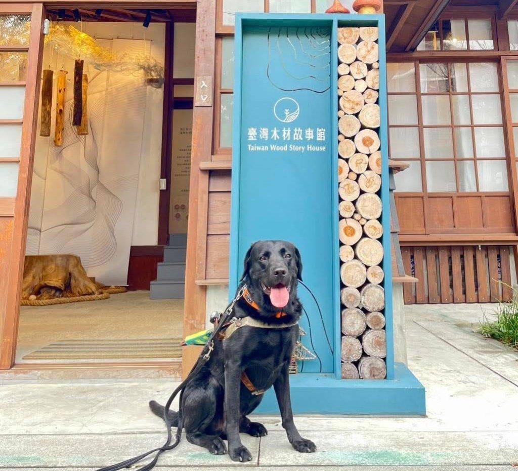 視障者連惠蘭帶導盲犬被拒進入  台灣木材故事館說話了