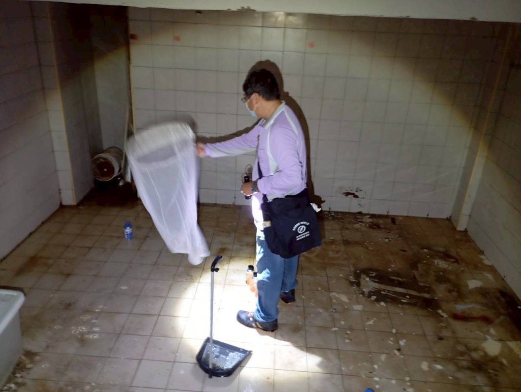 登革熱病毒總共有四型！今年台南4型均出現 黃偉哲提醒市府團隊與民眾除孓務盡