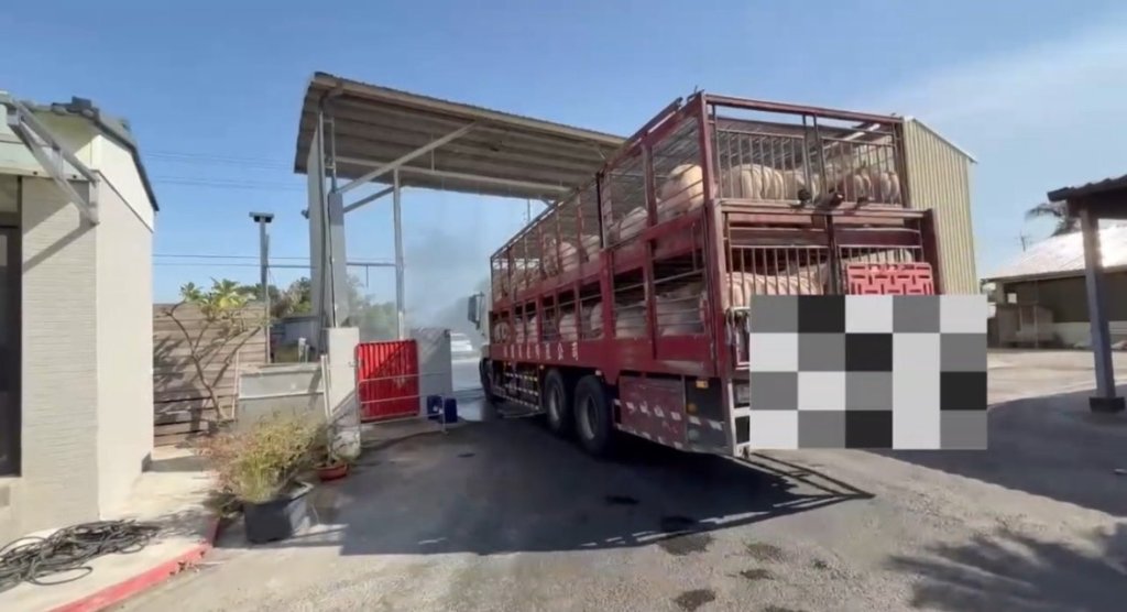 肉品市場恢復豬隻拍賣與屠宰 南市府嚴密防疫守護國人餐桌安全　