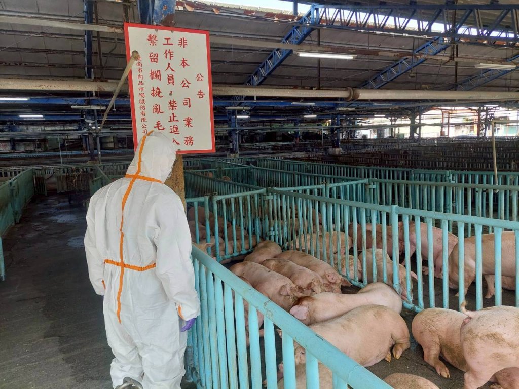 台南市肉品市場開始交易 市府嚴密防疫守護市民餐桌安全